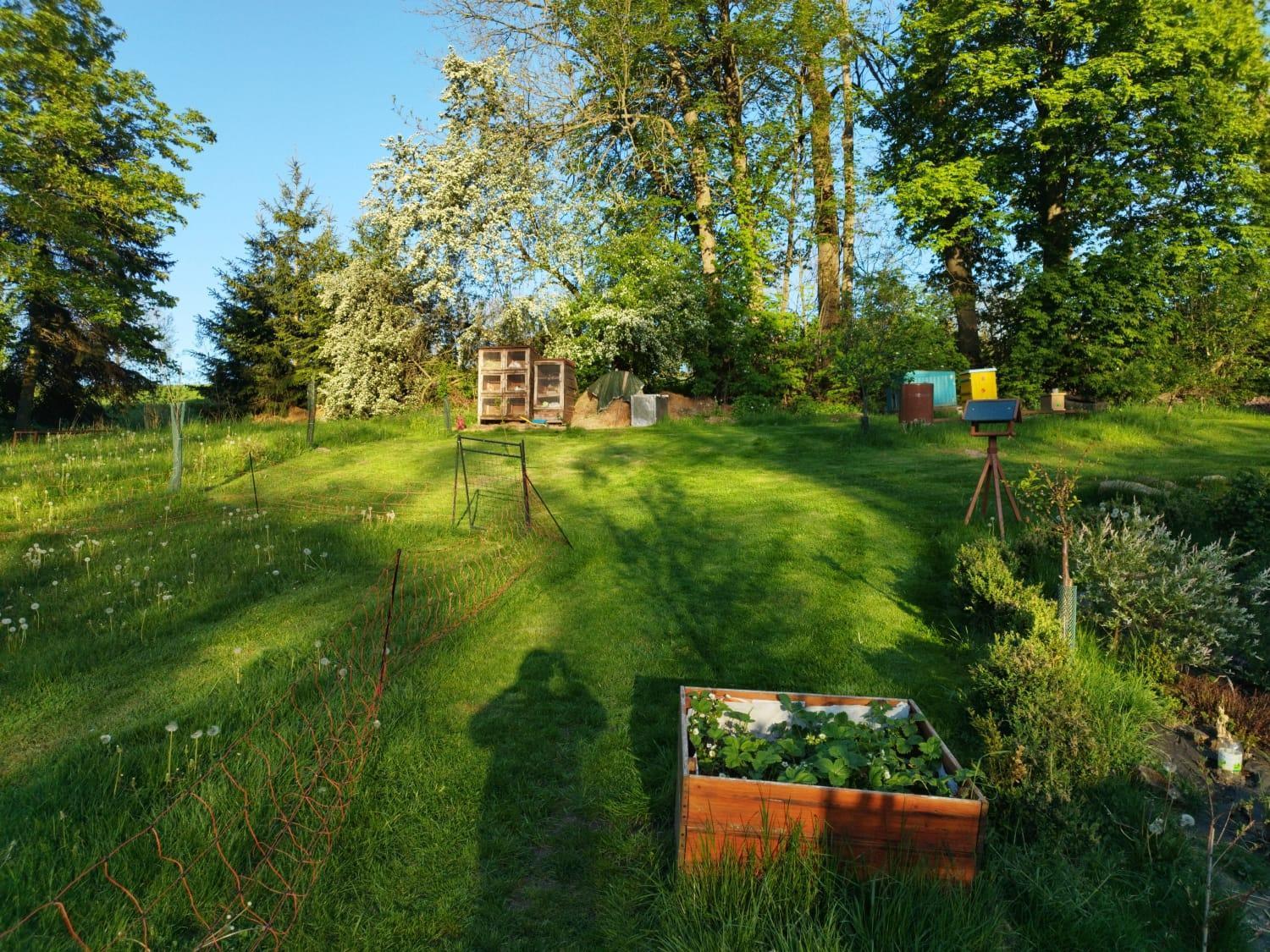 Farma U Lesa Apartment Hlinsko Exterior photo